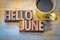 Hello June word abstract in wood type