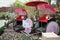 Hello Kitty themed Rickshaws at Singapore Gardens by the Bay Flower Dome in 2021