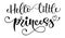 Hello Little princess quote. Baby shower hand drawn modern calligraphy vector lettering, grotesque style text logo phrase