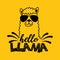 Hello llama design. vector