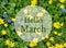 Hello March greeting.Bright first spring flowers background with text.Springtime concept.