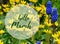 Hello March greeting.Bright first spring flowers background with text.Springtime concept.