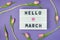 Hello March - text on display lightbox on purple background with pink tulips. Pastel colors, soft image. Floral Greeting card.