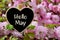 Hello May greeting card with decorative heart and pink spring flowers.Springtime concept with copy space.