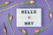 Hello May - text on display lightbox on purple background wih pink tulips. Pastel colors, soft image. Floral Greeting card.  Flat