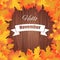 Hello november. Bright colourful autumn leaves on wood background
