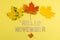 Hello November - text and autumn leaves on a pastel background. Autumn background