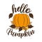 Hello Pumpkin - autumnal greeting with pumkin and leaves .