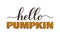 Hello pumpkin calligraphy lettering with leopard print. Vector template for typography poster, banner, flyer, postcard