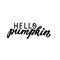 Hello pumpkin. Happy harvest wishes quote. Autumn fall and harvest blessings. Hand lettering phrase. Thanksgiving season element