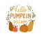 Hello pumpkin season cute colorful composition with quote inscription vector flat illustration. Colorful autumn hand