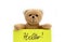 Hello, says the teddy bear: brown teddy bear holding a note in bright yellow color with the handwritten message Hello!