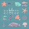 Hello sea. Vector card with handwritten text, sea creatures.