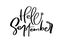 Hello September Vector ink lettering. Handwriting black on white word. Modern calligraphy style. Brush pen