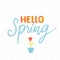 Hello sping - minimalistic calligraphy inscription and small growing tulip flower. Spring banner design for social media