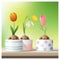 Hello Spring background with Spring flower Crocus, Tulip, Snowdrop on wooden table top