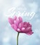 Hello Spring banner with realistic chrysanthemum flower