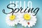 Hello Spring banner. Realistic daisy flowers on blue background. Ladybug on the flower. Seasonal background for your project.