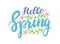 Hello Spring Banner, Springtime Season Greeting Lettering with Flowers and Green Leaves on White Background