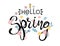 Hello Spring. Beautiful modern poster with hand drawn lettering. Template for logo, greeting card, print on a t-shirt