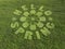 Hello Spring crop circle made on grassy meadow