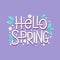 Hello spring cute card with hand drawn leaves and lettering. Cal