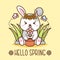 hello spring with cute rabbits with pot of flower