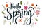 Hello Spring with decorative handwritten lettering. Flowers and leaves vector. Illustration spring