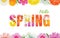 Hello spring flowers design in text background.