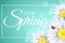 Hello spring gift card. Seasonal banner. Ladybug creeps on the flowers. Realistic daisies. Calligraphy and lettering in frame.