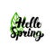 Hello Spring Green Inscription