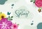 Hello spring greeting vector design. Spring season greeting card with blooming daisy