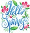 Hello Spring hand sketched logotype, badge typography icon. Lettering spring season with leaf and flowers