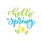 Hello Spring. Handwritten vector lettering quote. Modern brush l
