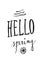Hello spring headline with decorations. Hand drawn calligraphy title text.
