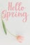 Hello spring. Hello spring text on pink tulip border, floral greeting card. Stylish tender image. Handwritten lettering.