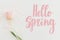 Hello spring. Hello spring text on pink tulip on white background, floral greeting card. Stylish tender image. Handwritten