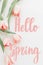 Hello spring. Hello spring text on pink tulips border, floral greeting card. Stylish tender image. Handwritten lettering.