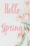 Hello spring. Hello spring text on pink tulips border, floral greeting card. Stylish tender image. Handwritten lettering.