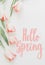 Hello spring. Hello spring text on pink tulips border, floral greeting card. Stylish tender image. Handwritten lettering.