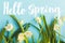 Hello spring. Hello spring text and white spring snowflakes flowers growing on blue paper. Handwritten lettering. Springtime.