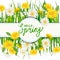 Hello Spring lettering template banner with fresh flowers bouquet dandelions and daisies, chamomiles, grass. Vector