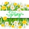 Hello Spring lettering template banner with fresh flowers bouquet dandelions and daisies, chamomiles, grass. Vector