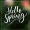 Hello Spring. Modern calligraphy text at green blur background