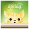 Hello Spring season background with a cat looking at a red ladybug