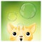 Hello Spring season background with a cat looking at soap bubbles