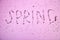Hello spring sign from flowers. Stylish pink wallpaper. Springtime