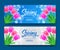 Hello Spring special offer banner with beauty tulip flower blossom