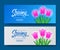 Hello Spring special offer banner with beauty tulip flower blossom