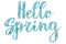 Hello Spring. Stylish Hello Spring  floral text with white spring flowers on blue background, lettering isolated on white. Floral